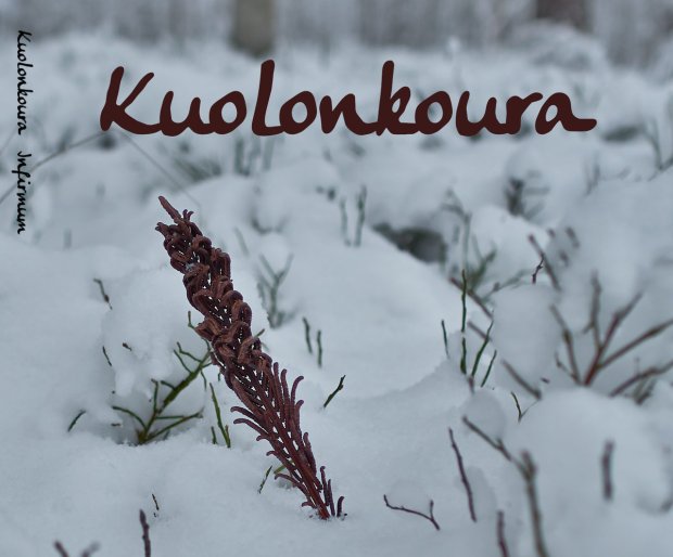 Kuolonkoura