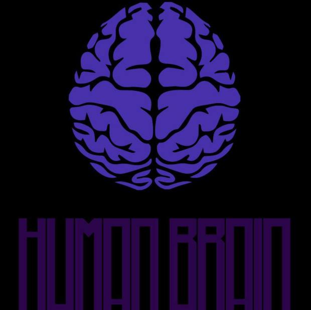 Human Brain