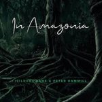Isildurs Bane & Peter Hammill - In Amazonia