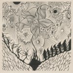 Jordsjø-Nattfiolen
